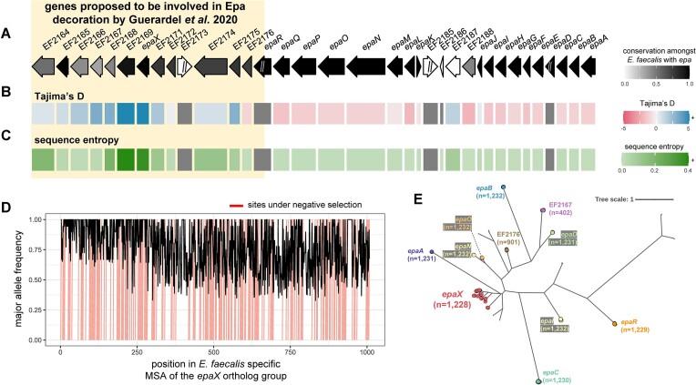 https://cdn.ncbi.nlm.nih.gov/pmc/blobs/9a2c/11795205/6f8f5b4af648/gkaf045fig5.jpg