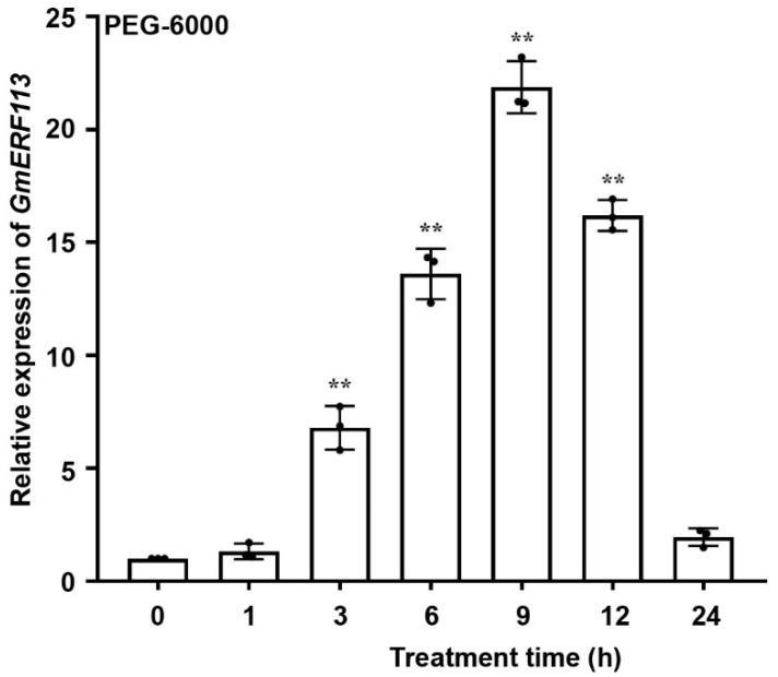 https://cdn.ncbi.nlm.nih.gov/pmc/blobs/9a30/9330420/85ea9ab02d65/ijms-23-08159-g001.jpg