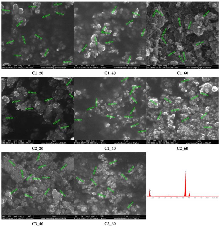 https://cdn.ncbi.nlm.nih.gov/pmc/blobs/9a33/8510126/ca058e126552/materials-14-05906-g007.jpg