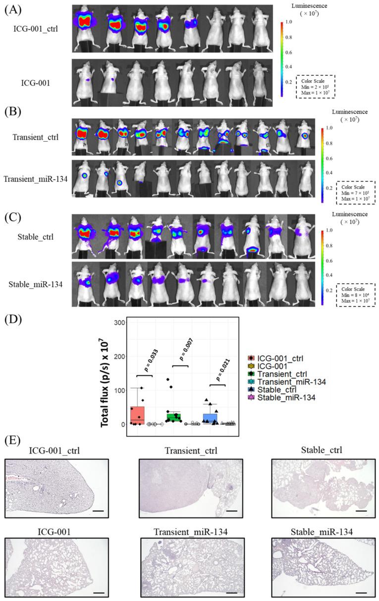 https://cdn.ncbi.nlm.nih.gov/pmc/blobs/9a36/9264930/da65fdb790d5/cancers-14-03125-g007.jpg