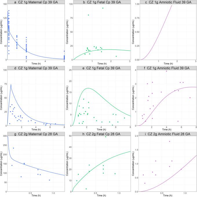 https://cdn.ncbi.nlm.nih.gov/pmc/blobs/9a37/8225528/61b3614908ba/12248_2021_603_Fig7_HTML.jpg
