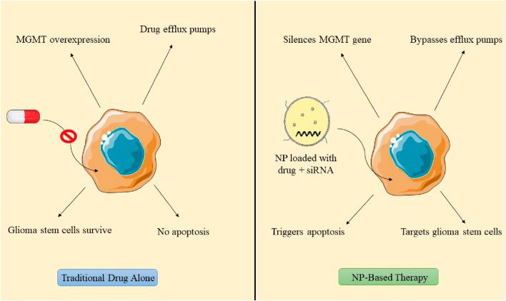 https://cdn.ncbi.nlm.nih.gov/pmc/blobs/9a3a/12325189/06932492ee5f/fbioe-13-1601673-g008.jpg