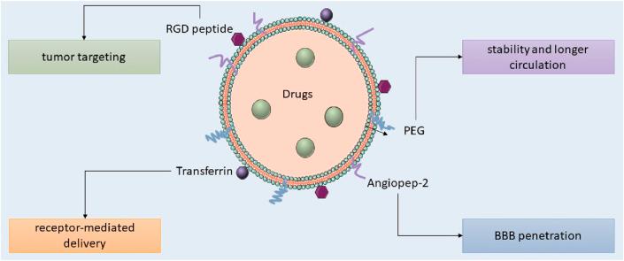 https://cdn.ncbi.nlm.nih.gov/pmc/blobs/9a3a/12325189/a070431b22c4/fbioe-13-1601673-g005.jpg