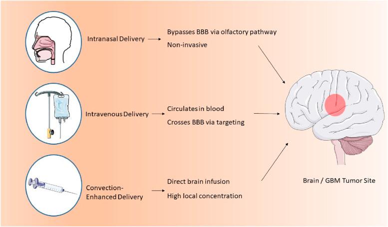 https://cdn.ncbi.nlm.nih.gov/pmc/blobs/9a3a/12325189/f3e49204311d/fbioe-13-1601673-g002.jpg