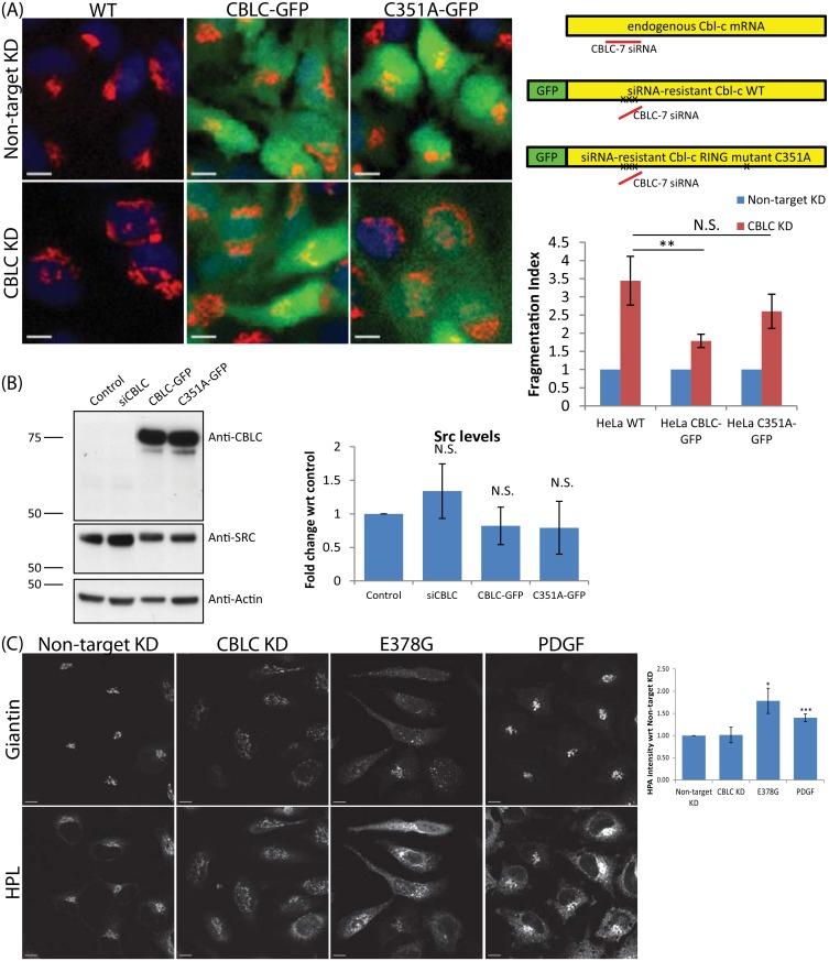 https://cdn.ncbi.nlm.nih.gov/pmc/blobs/9a3c/4579092/26ad00fa4de3/pone.0138789.g005.jpg