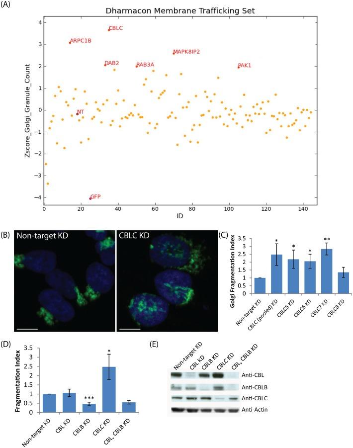 https://cdn.ncbi.nlm.nih.gov/pmc/blobs/9a3c/4579092/9d0014c89807/pone.0138789.g001.jpg