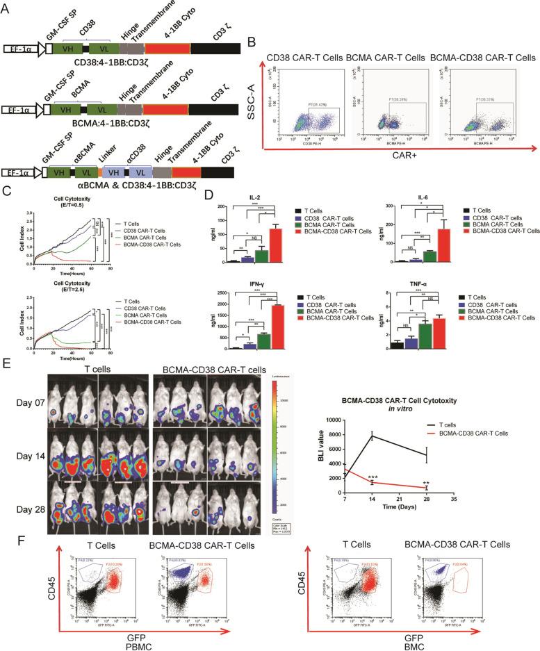 https://cdn.ncbi.nlm.nih.gov/pmc/blobs/9a3c/8722124/00e4ec56a918/13046_2021_2214_Fig1_HTML.jpg