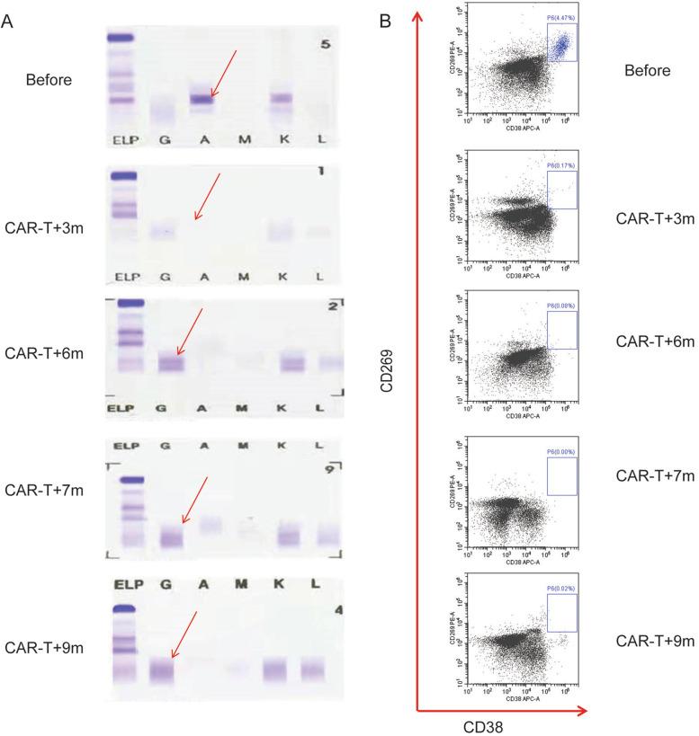 https://cdn.ncbi.nlm.nih.gov/pmc/blobs/9a3c/8722124/bee5b6ba7951/13046_2021_2214_Fig5_HTML.jpg