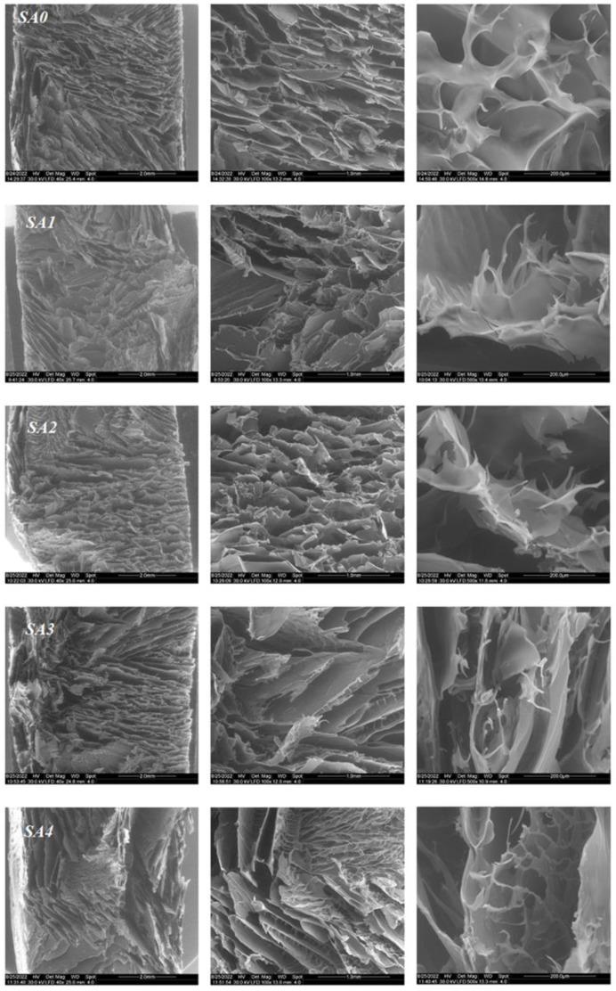 https://cdn.ncbi.nlm.nih.gov/pmc/blobs/9a3c/9920030/0a6a2503244f/materials-16-00982-g004.jpg