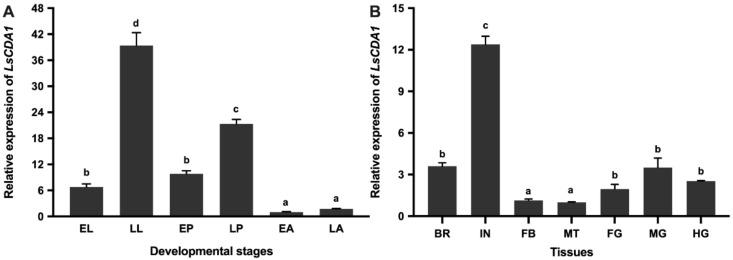 https://cdn.ncbi.nlm.nih.gov/pmc/blobs/9a3d/7177437/ececf92d35d5/ijms-21-02449-g003.jpg