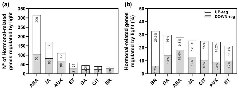 https://cdn.ncbi.nlm.nih.gov/pmc/blobs/9a3f/10856848/c0811f0b5149/plants-13-00408-g001.jpg