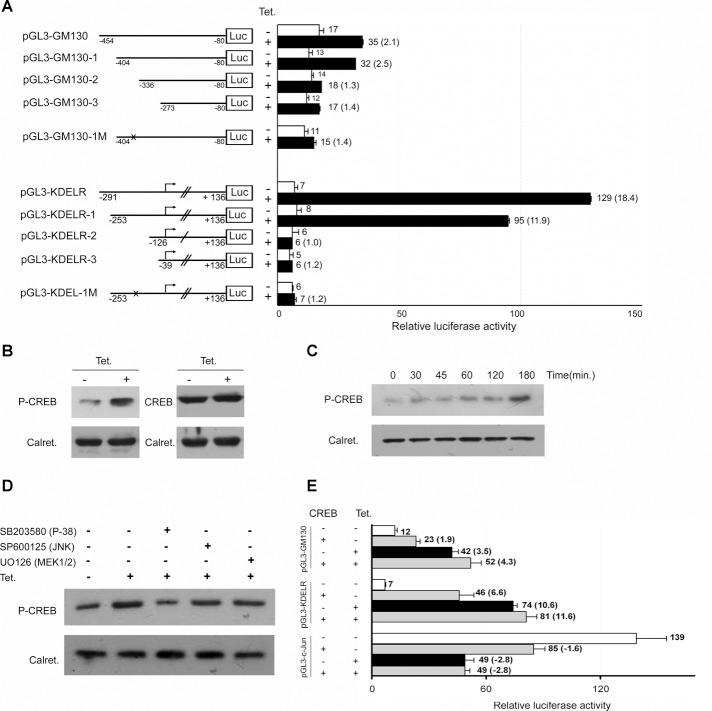 https://cdn.ncbi.nlm.nih.gov/pmc/blobs/9a40/3583665/64c26d7b0a90/617fig6.jpg