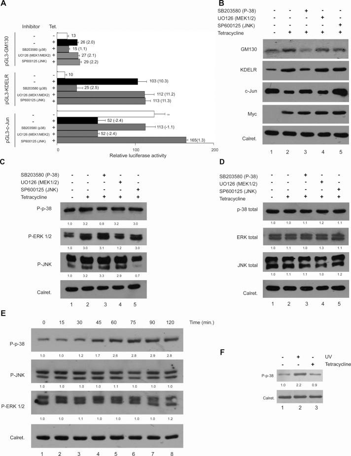 https://cdn.ncbi.nlm.nih.gov/pmc/blobs/9a40/3583665/97a5d376b896/617fig5.jpg
