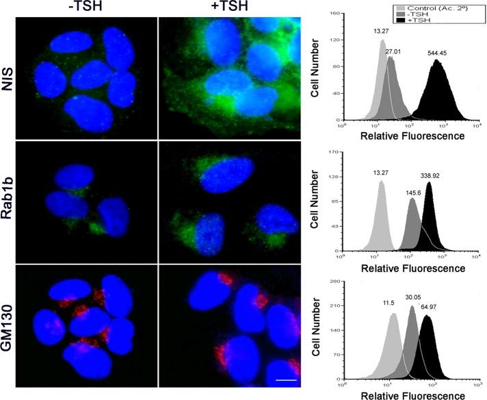 https://cdn.ncbi.nlm.nih.gov/pmc/blobs/9a40/3583665/ba218d3103cf/617fig7.jpg