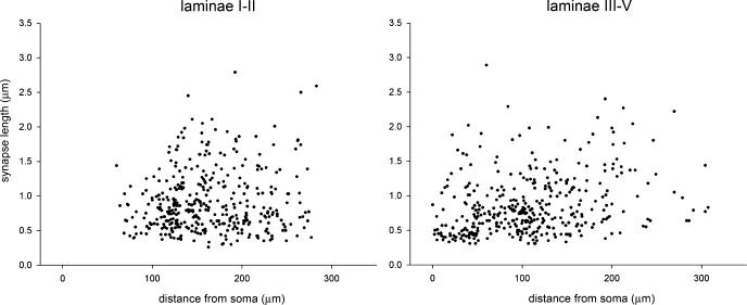 https://cdn.ncbi.nlm.nih.gov/pmc/blobs/9a41/2695158/86741e83252b/ejn0029-0718-f4.jpg