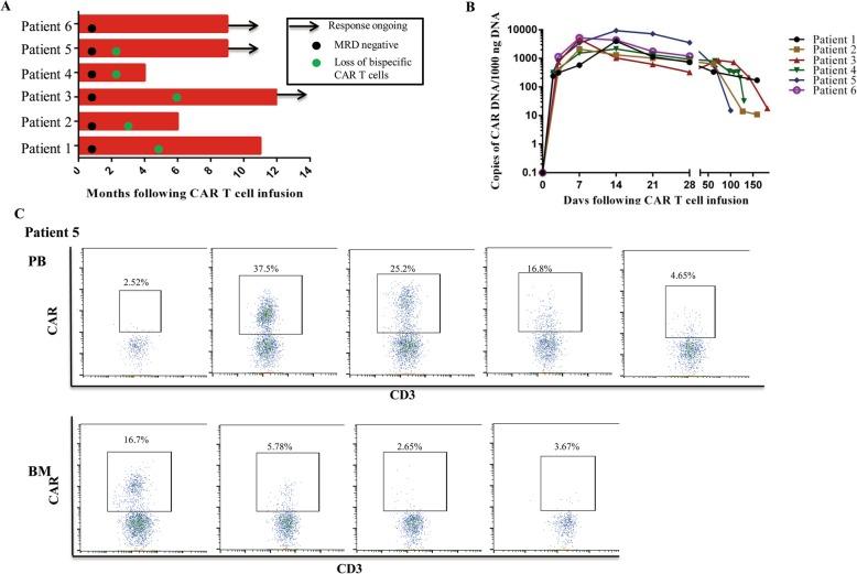 https://cdn.ncbi.nlm.nih.gov/pmc/blobs/9a41/7126394/5fa17b936658/13045_2020_856_Fig2_HTML.jpg