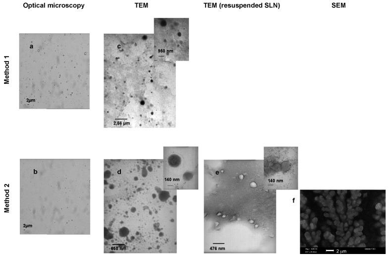 https://cdn.ncbi.nlm.nih.gov/pmc/blobs/9a44/5855544/066f3dbbae91/ijms-19-00255-g002.jpg