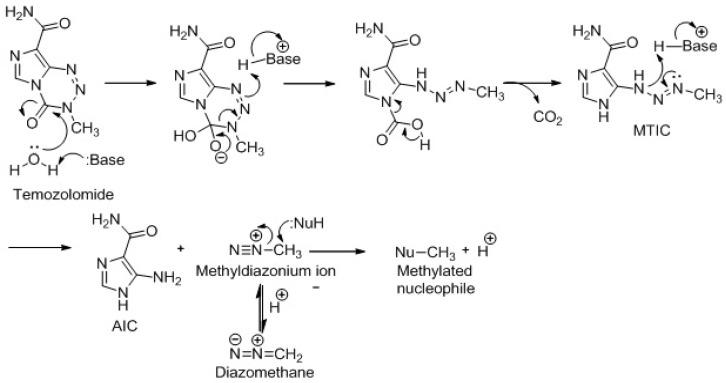 https://cdn.ncbi.nlm.nih.gov/pmc/blobs/9a44/5855544/07c9d09c72c5/ijms-19-00255-g001.jpg