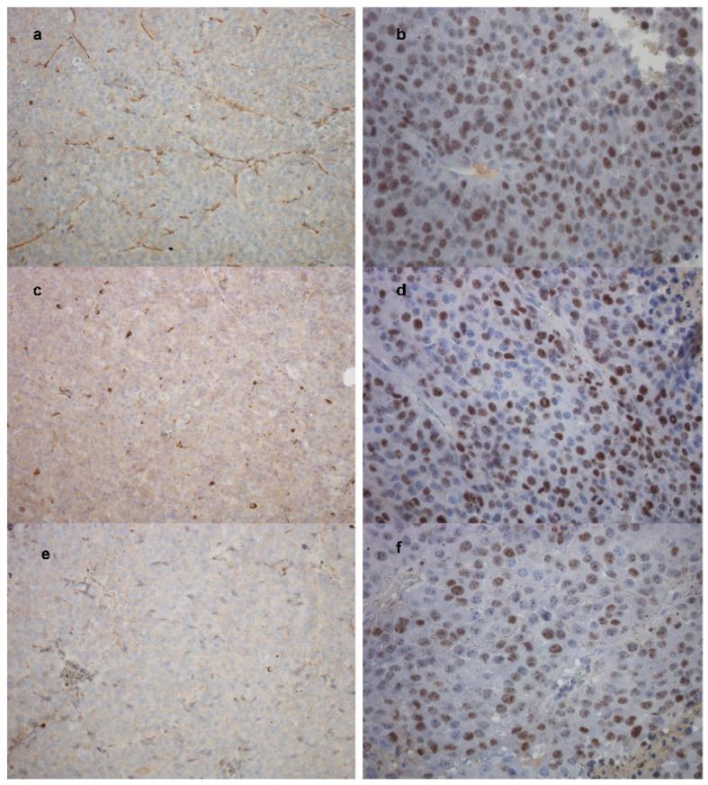 https://cdn.ncbi.nlm.nih.gov/pmc/blobs/9a44/5855544/38785e6037dc/ijms-19-00255-g011.jpg