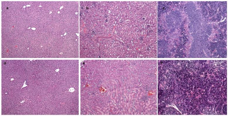 https://cdn.ncbi.nlm.nih.gov/pmc/blobs/9a44/5855544/6c55fb2d94dd/ijms-19-00255-g010.jpg