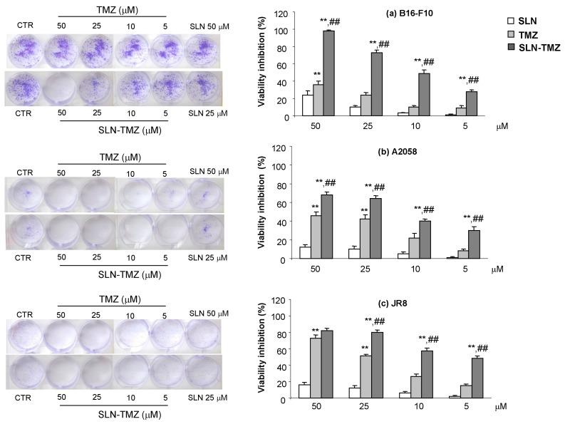 https://cdn.ncbi.nlm.nih.gov/pmc/blobs/9a44/5855544/875592f73fef/ijms-19-00255-g006.jpg