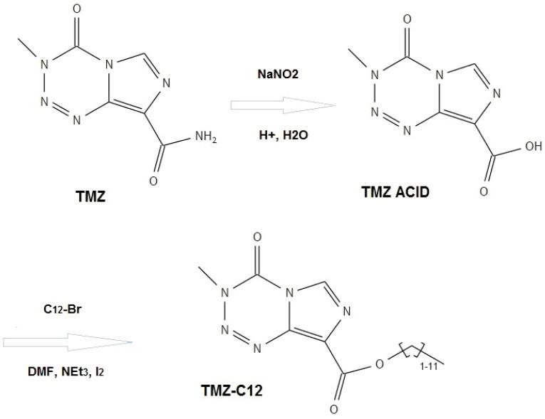 https://cdn.ncbi.nlm.nih.gov/pmc/blobs/9a44/5855544/eaa1fb3da94b/ijms-19-00255-g012.jpg