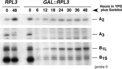 https://cdn.ncbi.nlm.nih.gov/pmc/blobs/9a46/1919493/887e55ffee5c/gkm388f4.jpg