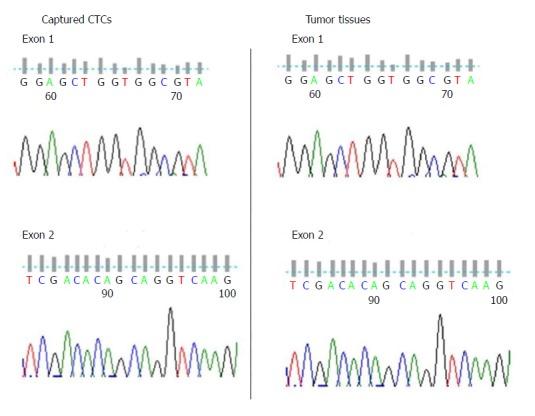 https://cdn.ncbi.nlm.nih.gov/pmc/blobs/9a46/5776396/13395fbabe8b/WJG-24-351-g005.jpg