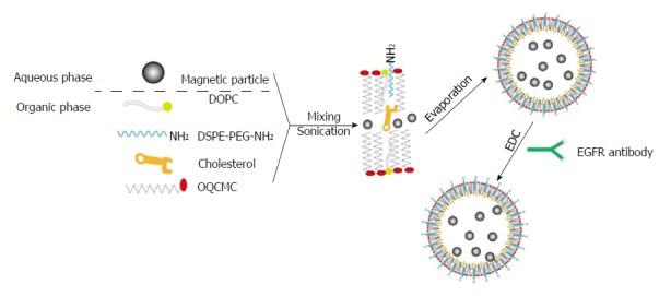 https://cdn.ncbi.nlm.nih.gov/pmc/blobs/9a46/5776396/6c2a8d79a846/WJG-24-351-g001.jpg