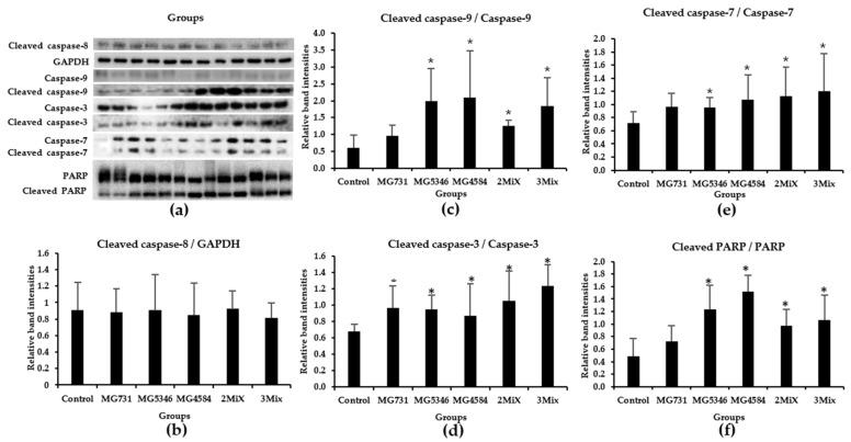 https://cdn.ncbi.nlm.nih.gov/pmc/blobs/9a46/8948760/04c6400736b0/microorganisms-10-00533-g004.jpg