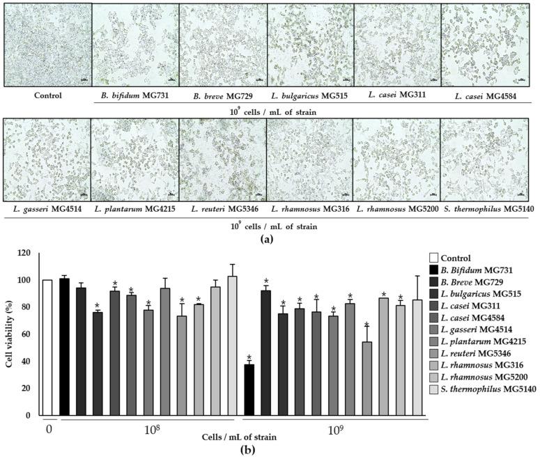 https://cdn.ncbi.nlm.nih.gov/pmc/blobs/9a46/8948760/846d70d56511/microorganisms-10-00533-g001.jpg