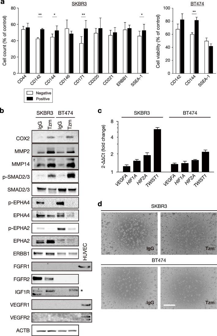 https://cdn.ncbi.nlm.nih.gov/pmc/blobs/9a48/6683360/29fc6ebb579d/13058_2019_1167_Fig3_HTML.jpg