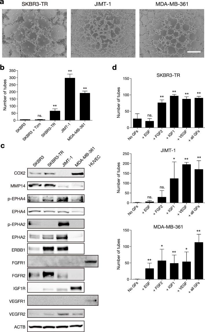 https://cdn.ncbi.nlm.nih.gov/pmc/blobs/9a48/6683360/670c864fd2e2/13058_2019_1167_Fig5_HTML.jpg