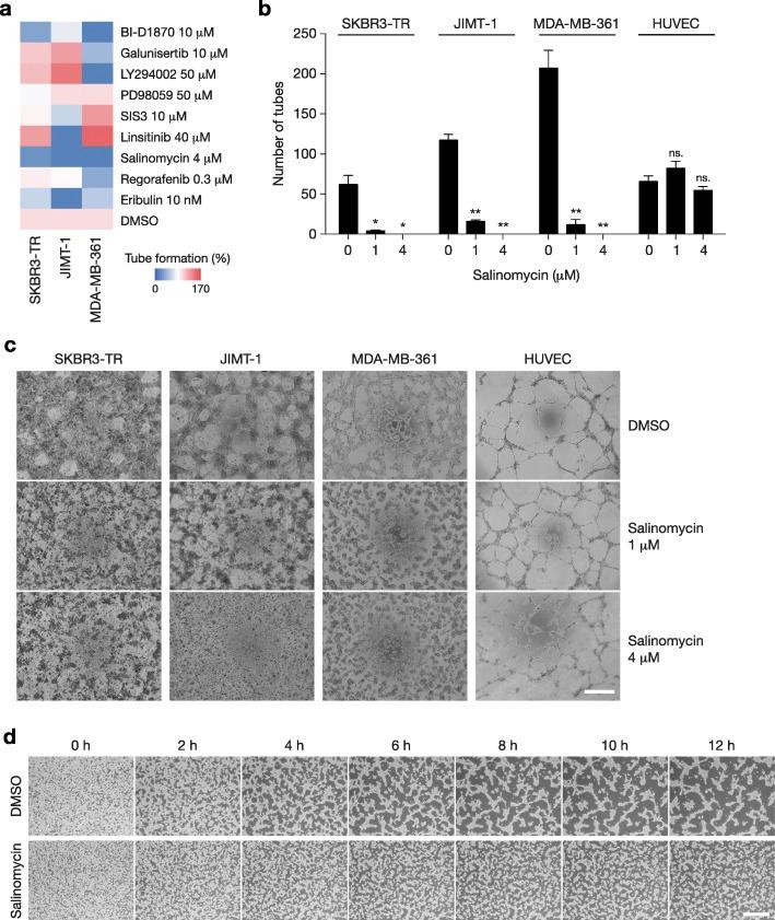 https://cdn.ncbi.nlm.nih.gov/pmc/blobs/9a48/6683360/8662eaa2c599/13058_2019_1167_Fig7_HTML.jpg