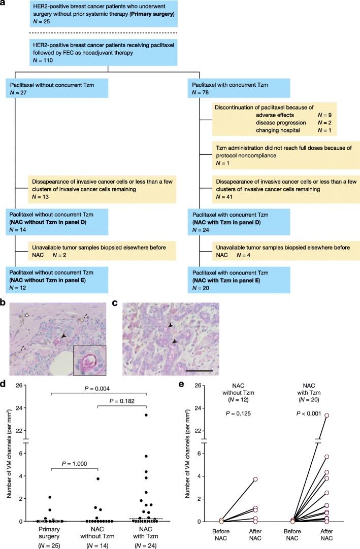 https://cdn.ncbi.nlm.nih.gov/pmc/blobs/9a48/6683360/eb0d2ec21d8b/13058_2019_1167_Fig6_HTML.jpg