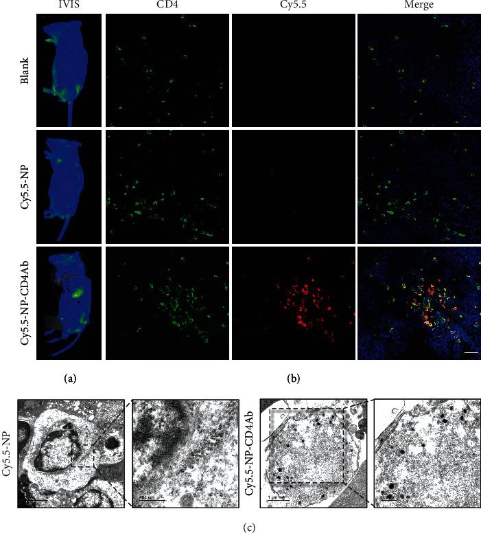 https://cdn.ncbi.nlm.nih.gov/pmc/blobs/9a48/9343082/0689557e246b/RESEARCH2022-9794235.002.jpg