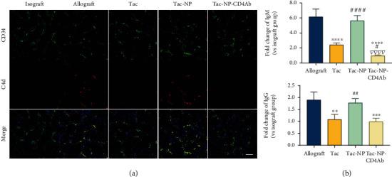 https://cdn.ncbi.nlm.nih.gov/pmc/blobs/9a48/9343082/619689806b4d/RESEARCH2022-9794235.003.jpg