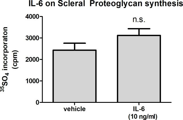 https://cdn.ncbi.nlm.nih.gov/pmc/blobs/9a4a/8612705/5a69ae0a4fcb/elife-70608-fig3-figsupp1.jpg