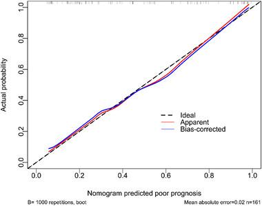 https://cdn.ncbi.nlm.nih.gov/pmc/blobs/9a4c/11905090/1fb771f6bc3c/BRB3-15-e70424-g002.jpg