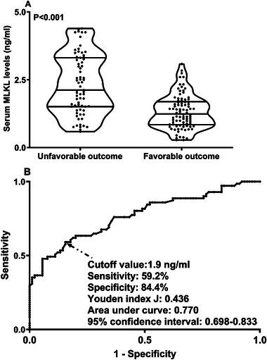 https://cdn.ncbi.nlm.nih.gov/pmc/blobs/9a4c/11905090/95cba06f5c25/BRB3-15-e70424-g019.jpg