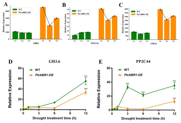 https://cdn.ncbi.nlm.nih.gov/pmc/blobs/9a50/10530772/2499710b9d2c/ijms-24-13748-g010.jpg