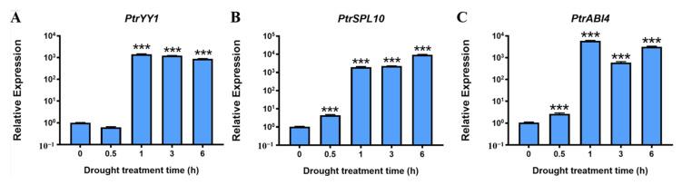 https://cdn.ncbi.nlm.nih.gov/pmc/blobs/9a50/10530772/fa8432bff7aa/ijms-24-13748-g005.jpg
