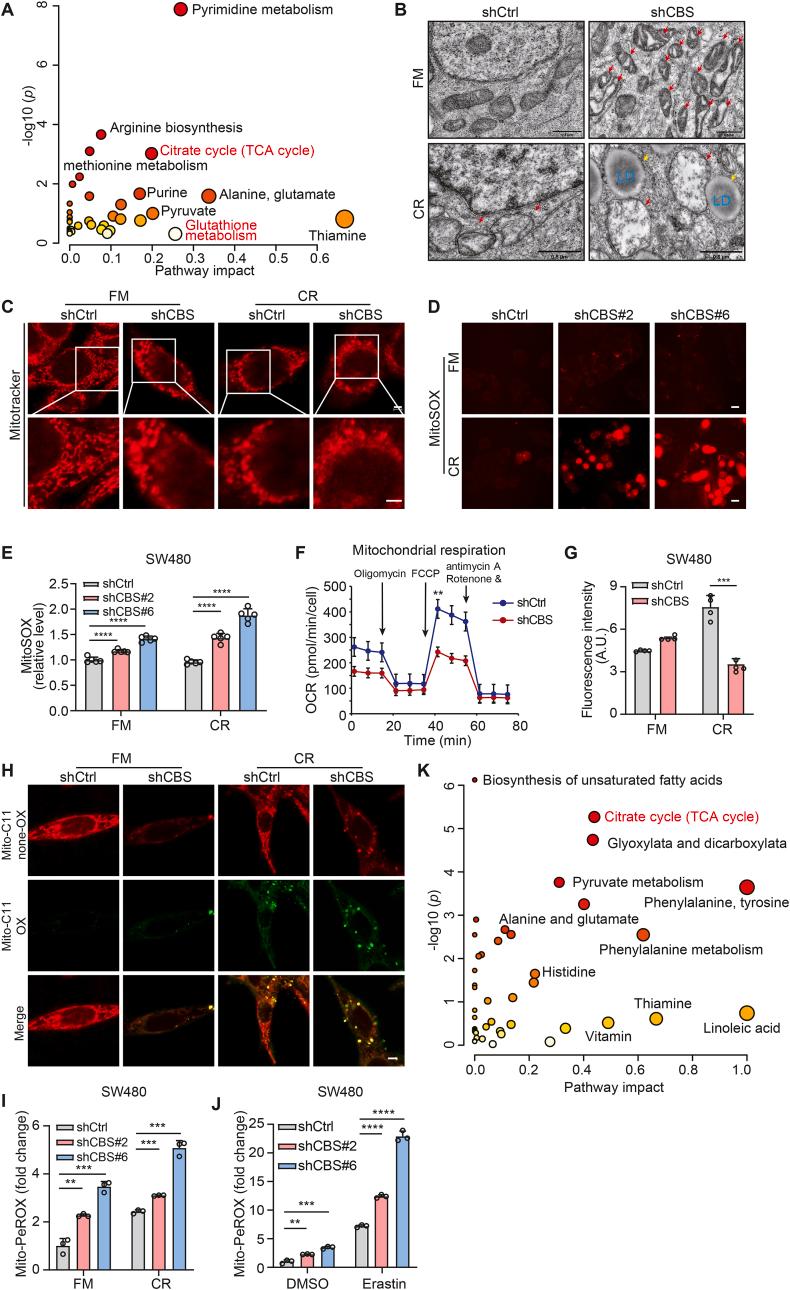 https://cdn.ncbi.nlm.nih.gov/pmc/blobs/9a50/10958616/1694bb7020e7/gr3.jpg