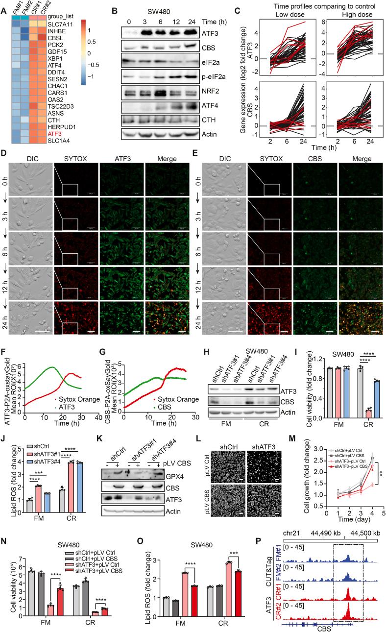 https://cdn.ncbi.nlm.nih.gov/pmc/blobs/9a50/10958616/74806c760296/gr4.jpg
