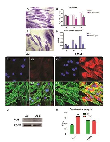 https://cdn.ncbi.nlm.nih.gov/pmc/blobs/9a52/5452629/99ffa42371b7/ejh-61-2-2791-g001.jpg