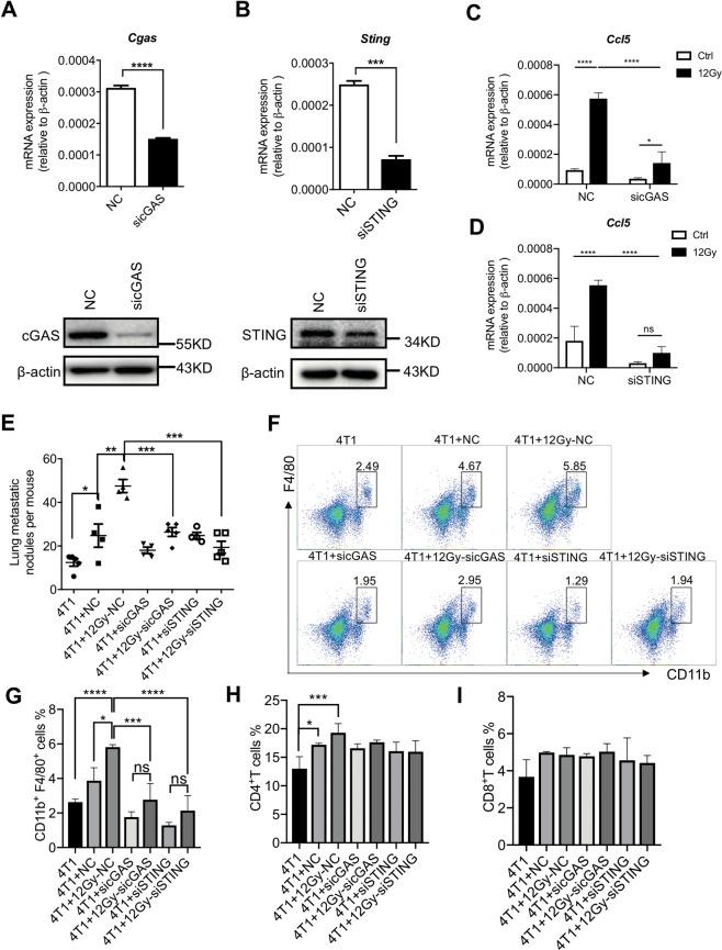 https://cdn.ncbi.nlm.nih.gov/pmc/blobs/9a55/7206094/278d0d5997ab/41419_2020_2546_Fig4_HTML.jpg