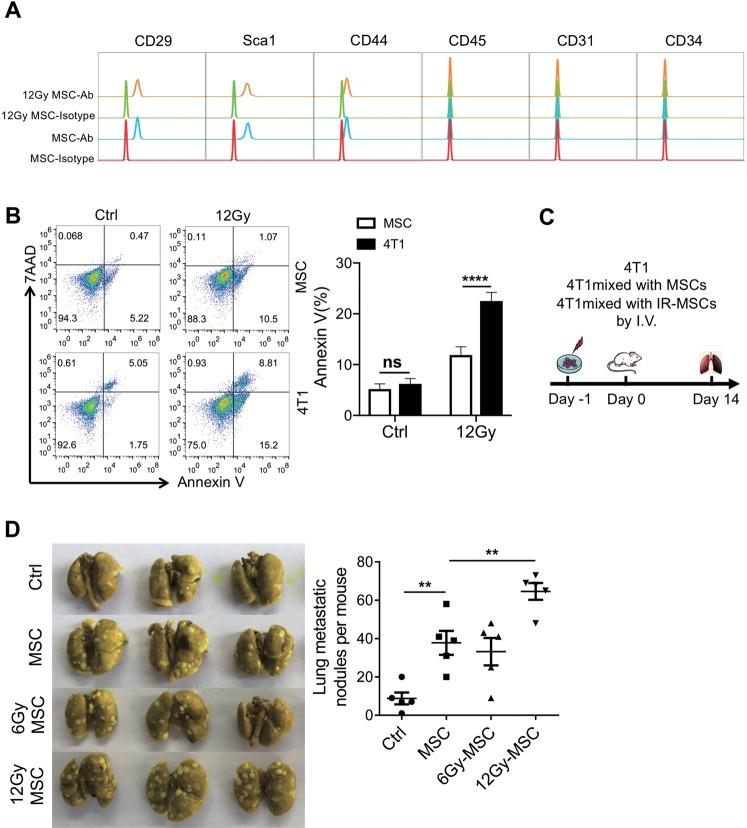 https://cdn.ncbi.nlm.nih.gov/pmc/blobs/9a55/7206094/5ff36312d8bc/41419_2020_2546_Fig2_HTML.jpg