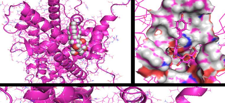 https://cdn.ncbi.nlm.nih.gov/pmc/blobs/9a56/10909095/1176438d7cc3/APJCP-24-4103-g007.jpg