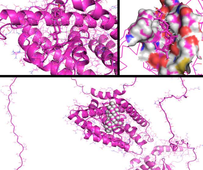 https://cdn.ncbi.nlm.nih.gov/pmc/blobs/9a56/10909095/f38da747a8ae/APJCP-24-4103-g005.jpg