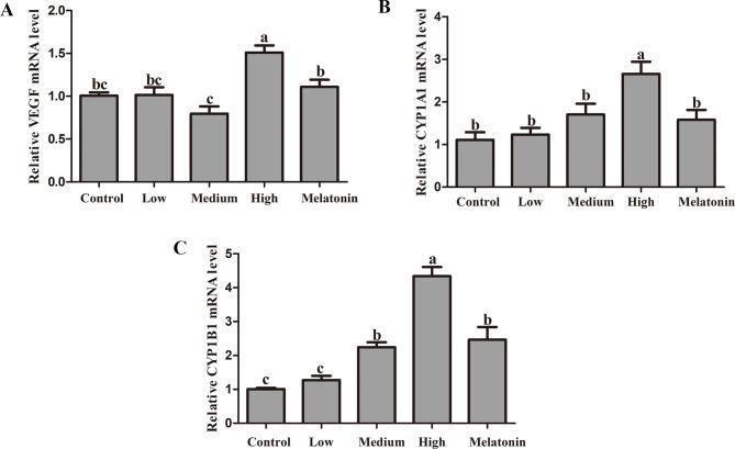 https://cdn.ncbi.nlm.nih.gov/pmc/blobs/9a59/11577718/25f823a54254/12931_2024_3042_Fig5_HTML.jpg